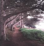 MORRO BAY