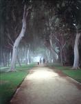MORNING STROLL-BEVERLY HILLS