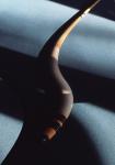POOL CUE SNAKE