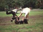 The Naked Truth About Touch Football